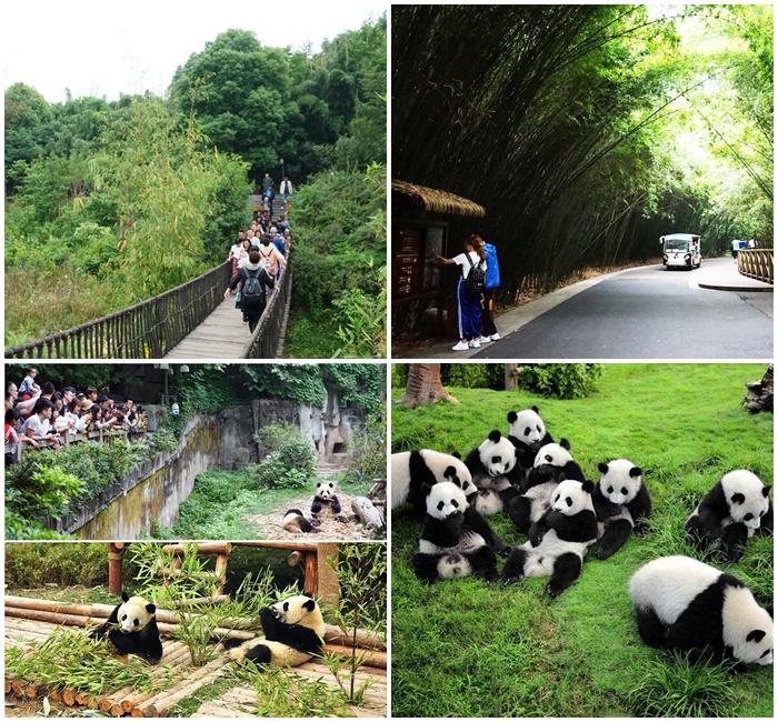 12 cong vien o thanh do 7